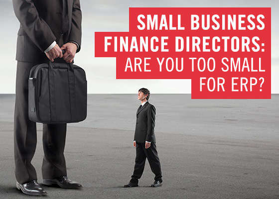 Small business finance directors are you too small for ERP