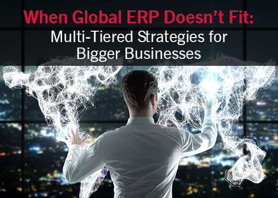  When Global ERP doesn't fit