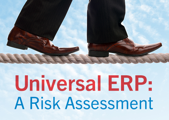 Universal ERP a risk assessment
